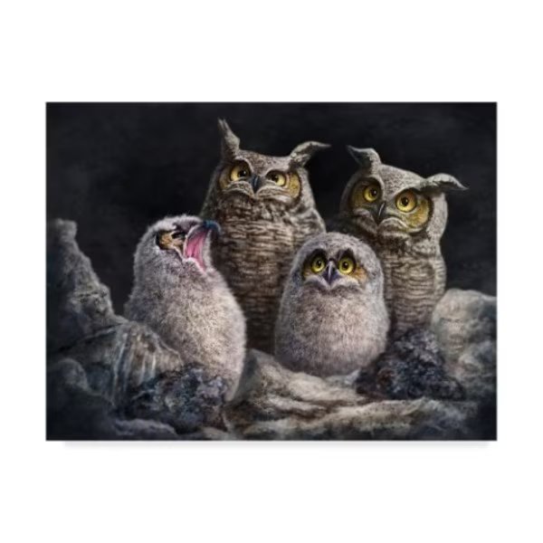 Patrick Lamontagne 'One In Every Family' Canvas Art, 14x19, Trademark Fine Art, Mfr#: ALI44092-C1419GG